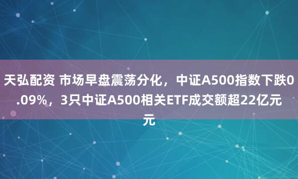 天弘配资 市场早盘震荡分化，中证A500指数下跌0.09%，3只中证A500相关ETF成交额超22亿元