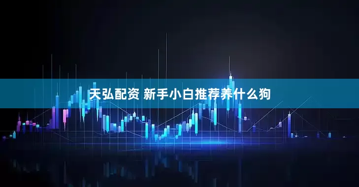 天弘配资 新手小白推荐养什么狗