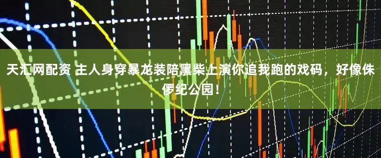 天汇网配资 主人身穿暴龙装陪黑柴上演你追我跑的戏码，好像侏㑩纪公园！