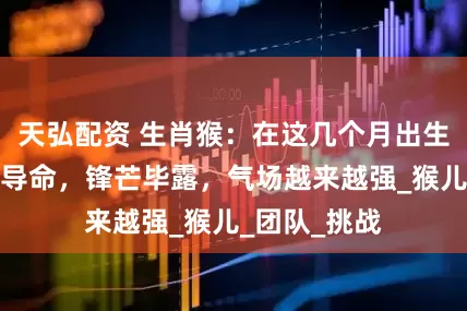 天弘配资 生肖猴：在这几个月出生的天生是领导命，锋芒毕露，气场越来越强_猴儿_团队_挑战