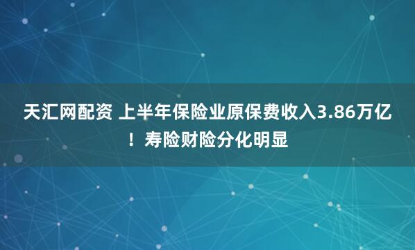 天汇网配资 上半年保险业原保费收入3.86万亿！寿险财险分化明显